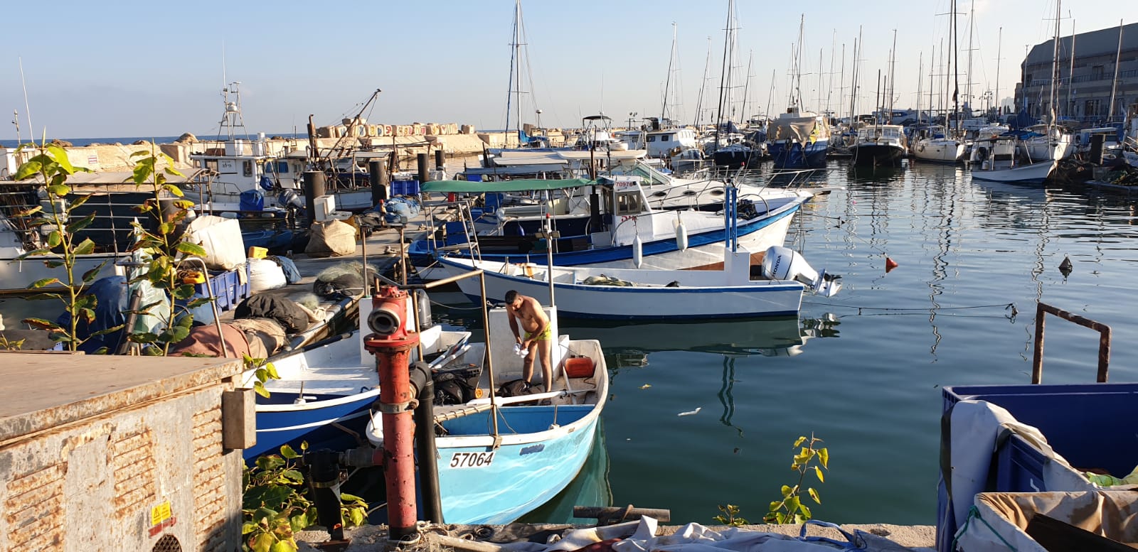 WhatsApp Image 2020-08-24 at 7.34.19 AM (2).jpeg.jpeg